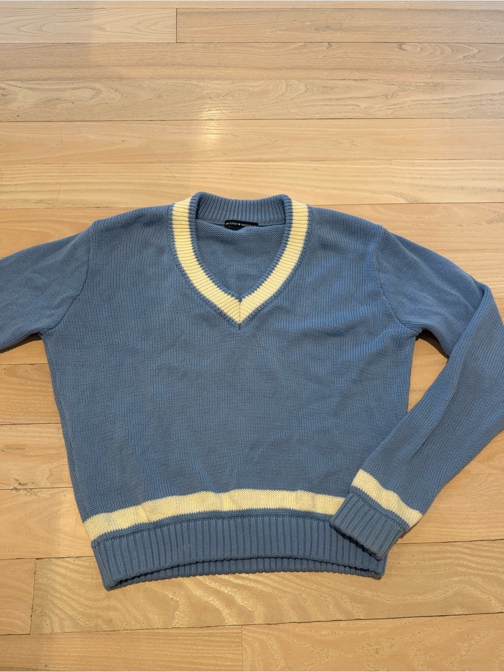 Brandy Melville Blue V-Neck Sweater with Cream Trim